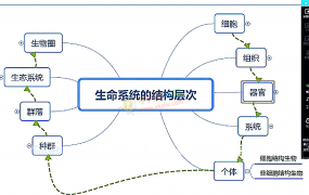2020冯博生物高考必修一二三系统复习全套视频课含讲义百度网盘