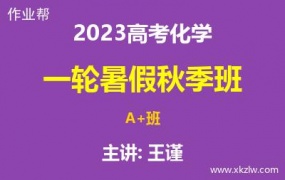 2023高考王谨化学一轮复习暑假秋季A+班网课视频资料百度云网盘下载